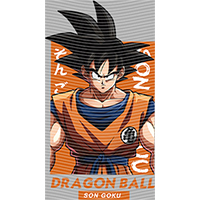 Japanese anime-JP 227